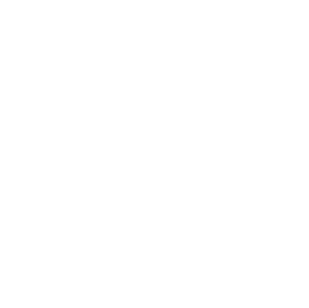 Vectora